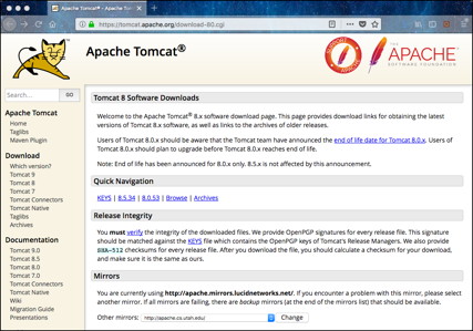 Tomcat Download